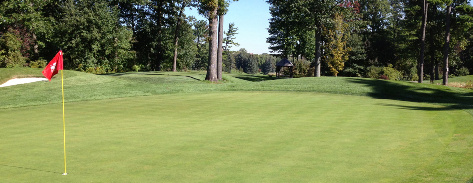 Riley Wheeldon and Selena Costabile named 2020 GJAC Player Bursary recipients, sponsored by Golf Town and Mackenzie Investments